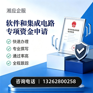 南充软件和集成电路专项资金申报服务