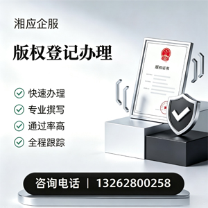 南充版权登记服务