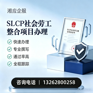 南充SLCP社会劳工整合项目申报服务