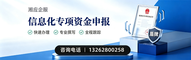 南充信息化专项资金申报服务
