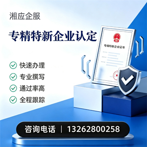 南充专精特新企业申报服务