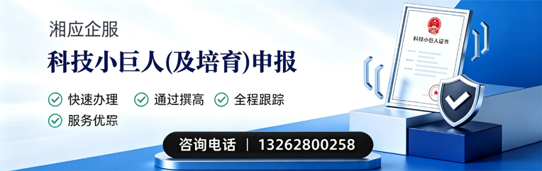 南充科技小巨人及培育企业申报服务