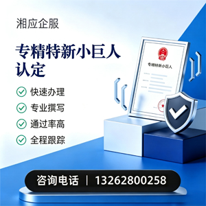 南充专精特新小巨人申报服务