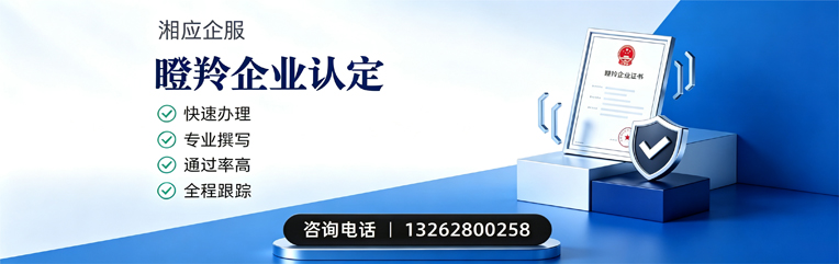 南充瞪羚企业认定申报服务