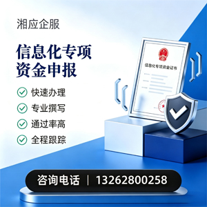 南充信息化专项资金申报服务