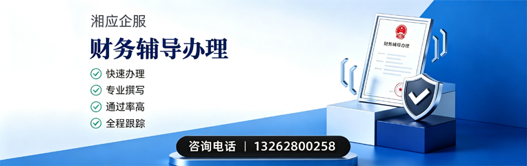 南充财务辅导申请服务