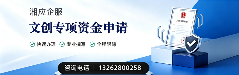 南充文创专项资金申报服务
