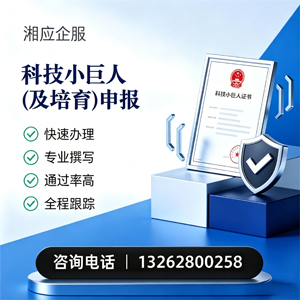 南充科技小巨人及培育企业申报服务