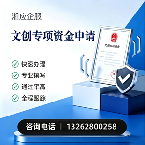 南充文创专项资金申报服务