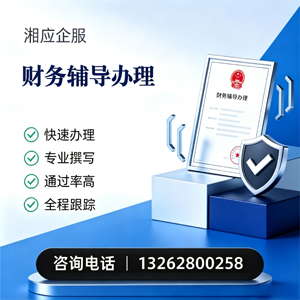 南充财务辅导申请服务