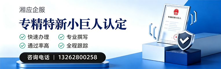 南充专精特新小巨人申报服务